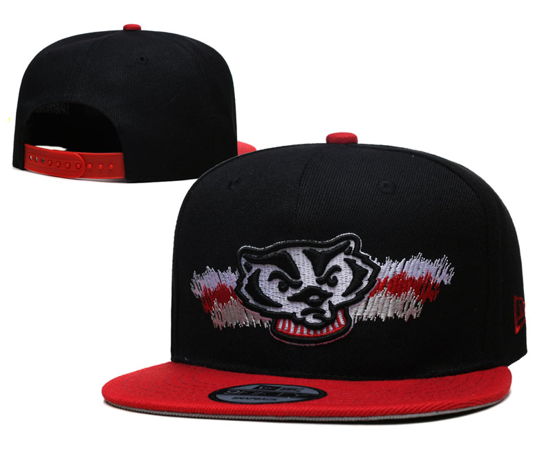 Wisconsin Badgers Stitched Snapback Hats 001